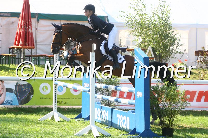 308M9350_Cormina_Springpferde A.JPG